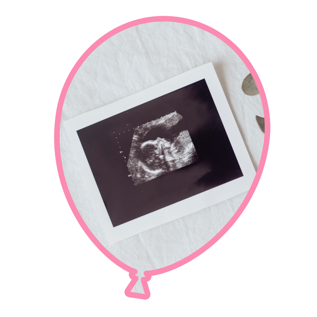 morfologie gratuita