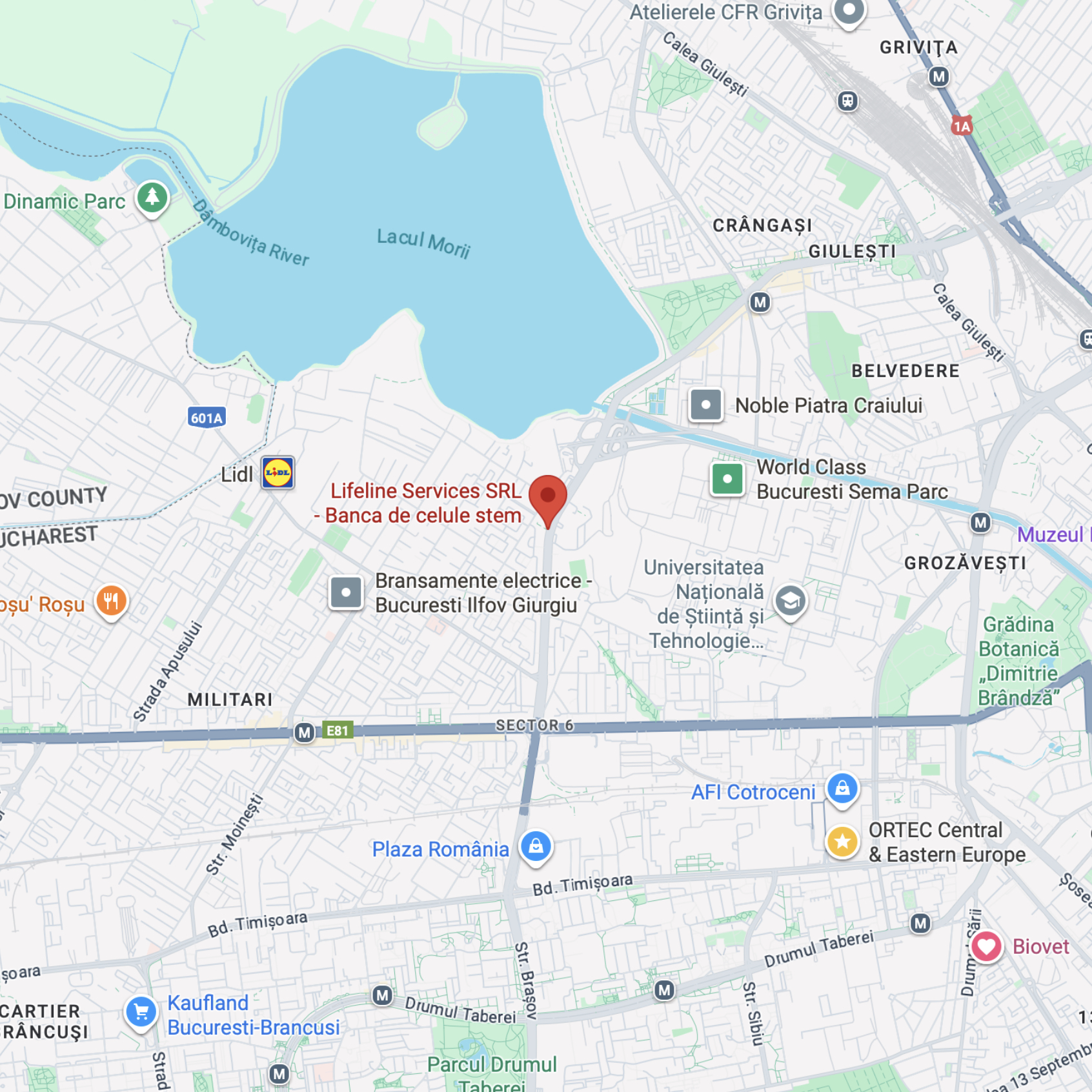 Harta Lifeline Bucuresti
