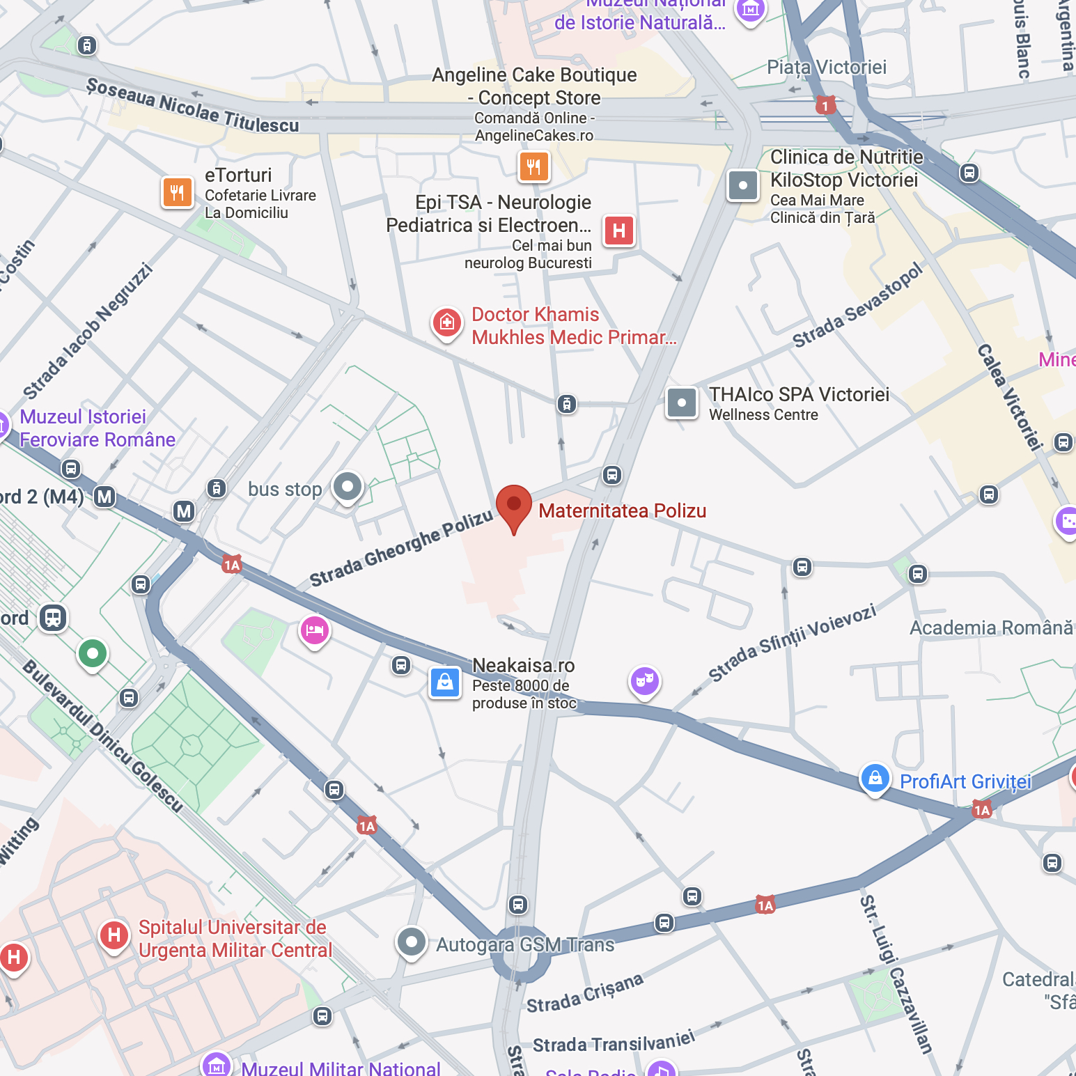 Harta Maternitate Polizu Harta Maternitate Polizu